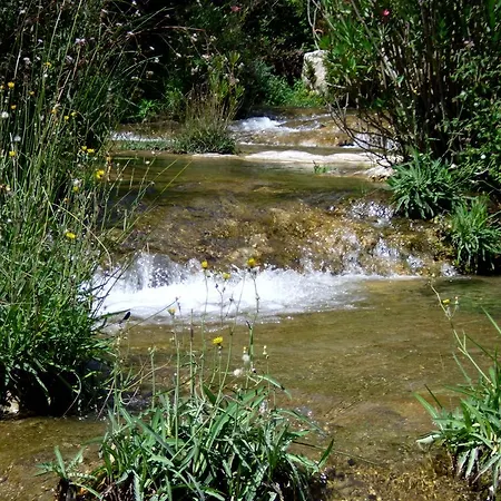 塔利住宿加早餐旅馆 住宿加早餐酒店