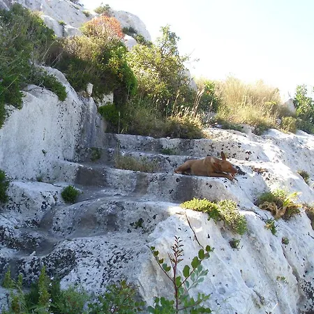 Tari Bed and Breakfast